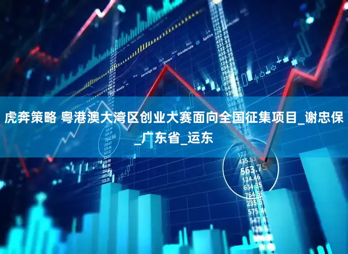 虎奔策略 粤港澳大湾区创业大赛面向全国征集项目_谢忠保_广东省_运东