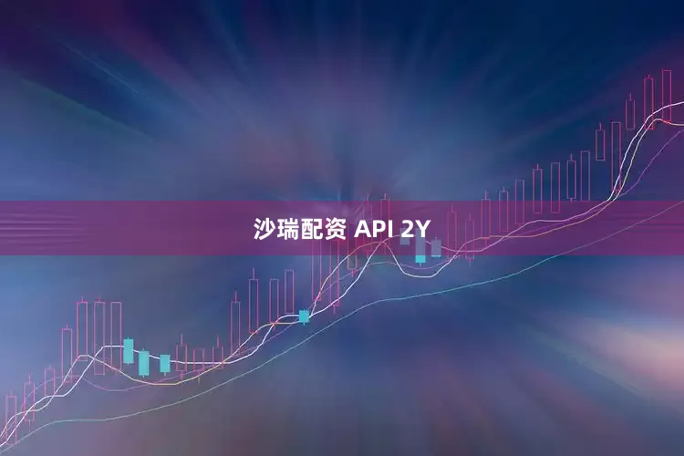 沙瑞配资 API 2Y